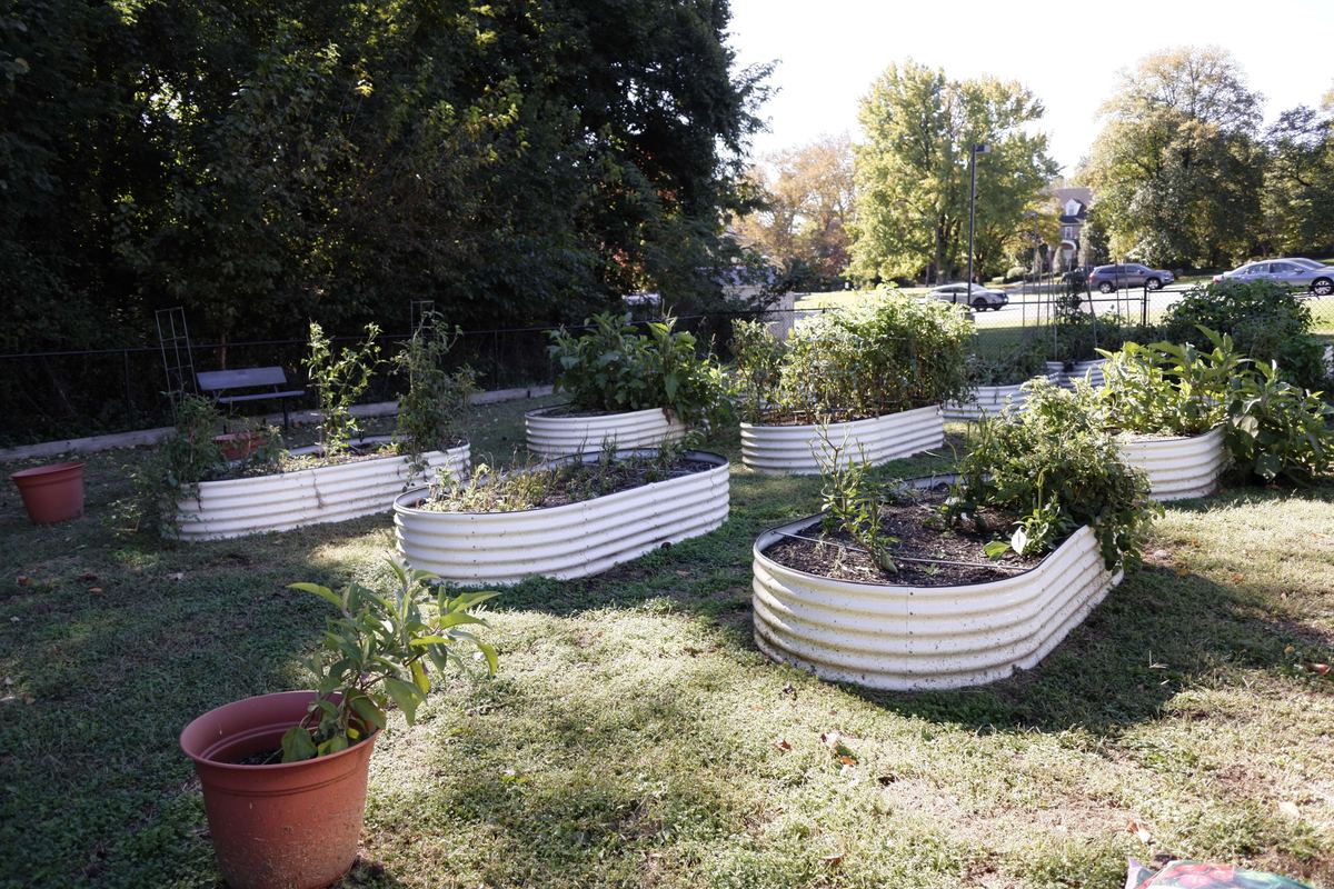 Children&rsquo;s vegetable garden at Newark Nature School, Newark, DE